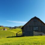 Как совместить жизнь с партнером и сохранить аренду квартиры в Австрии? 🏡