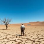 Работа со смыслом: Социальные профессии в FSW с будущим